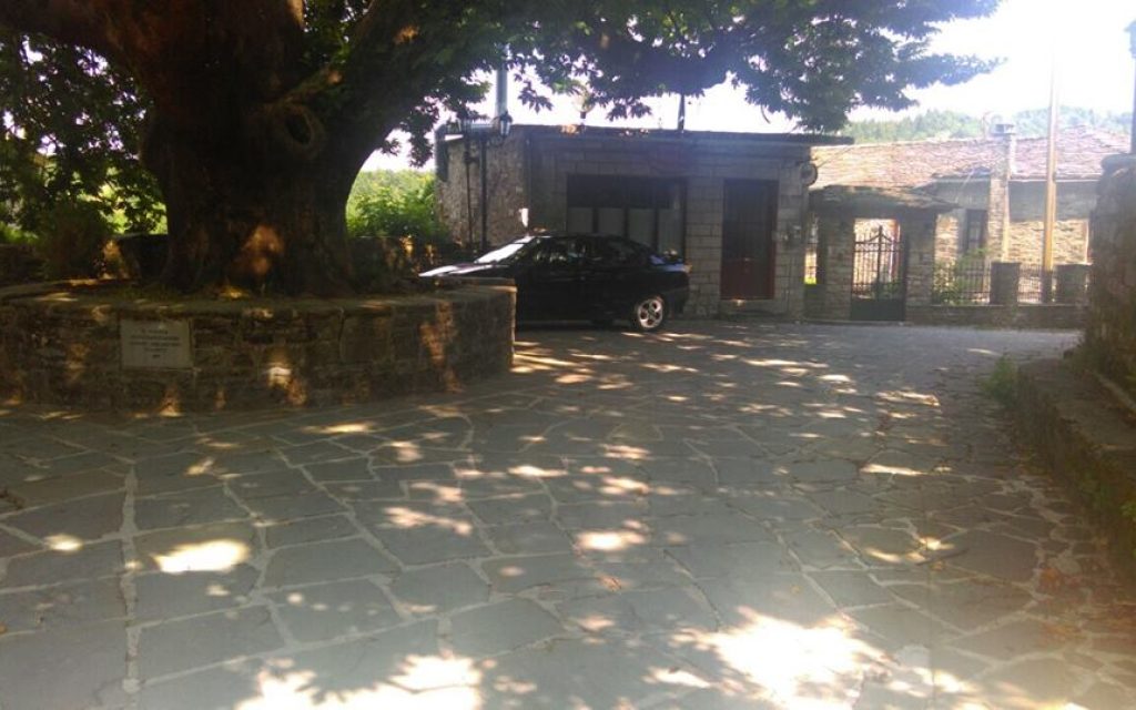 elati z3