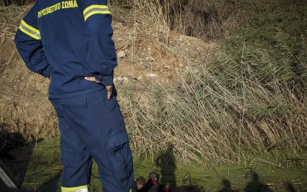 ereuna anazitisi emak geniki