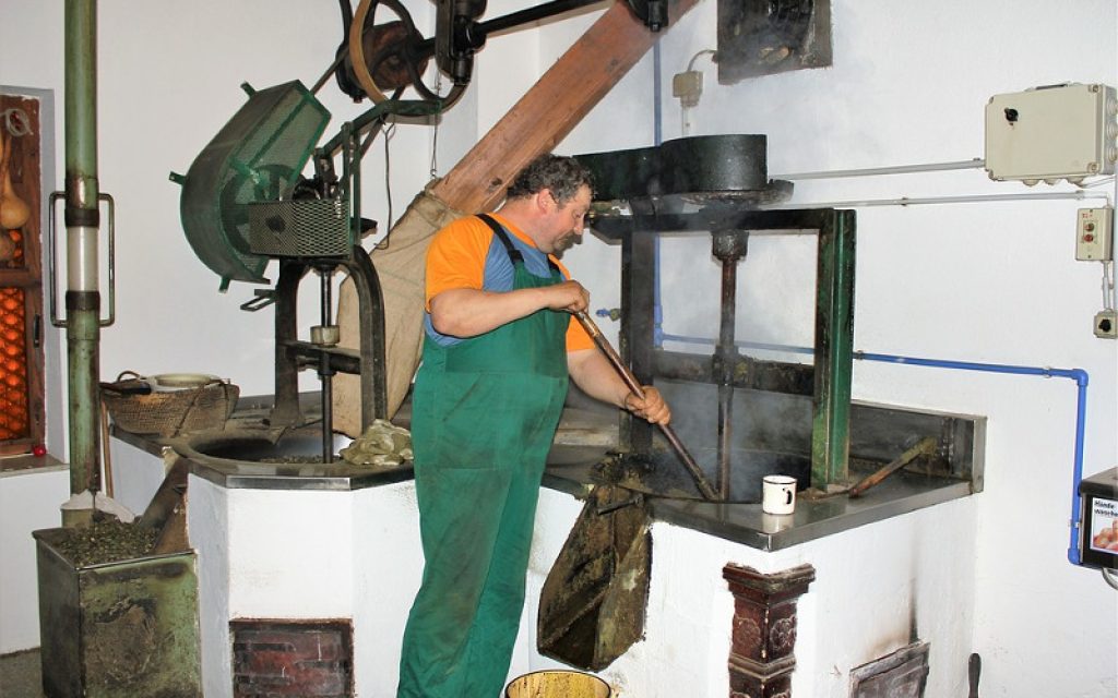 ergatis palio