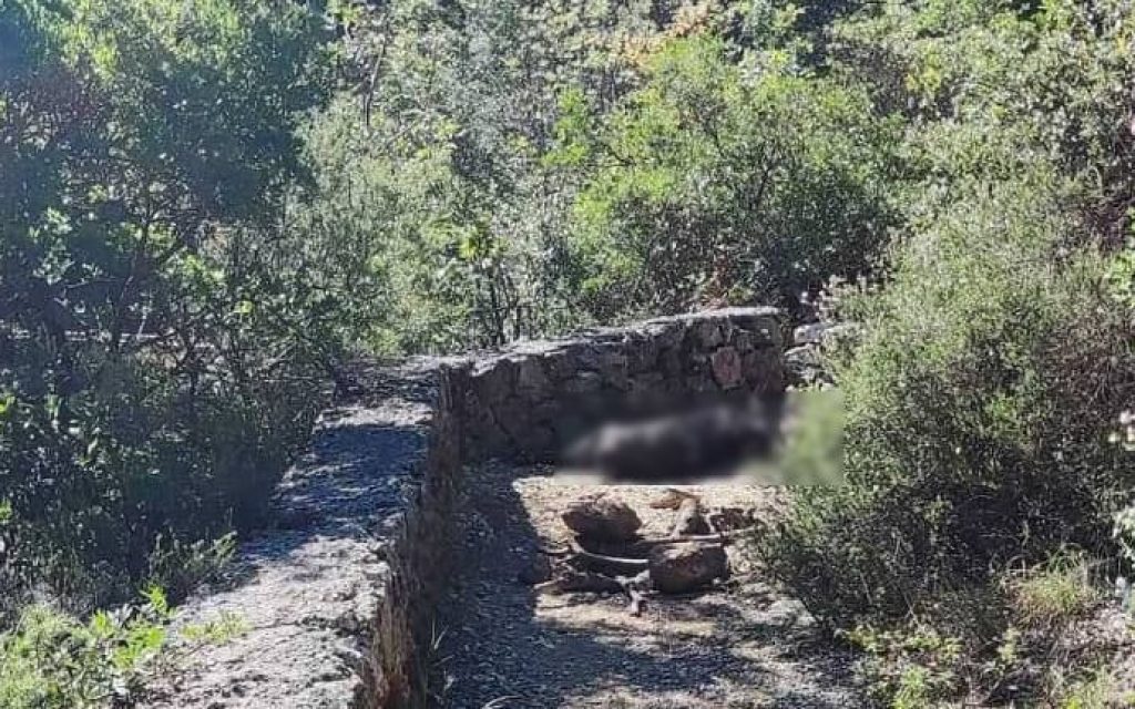 faragi souliou censored