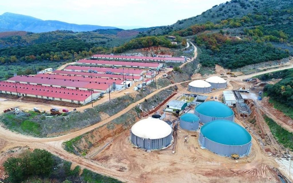 farma xitas