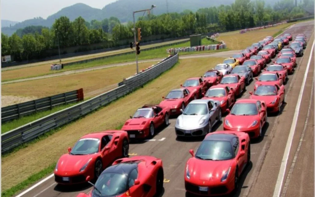 ferari arta