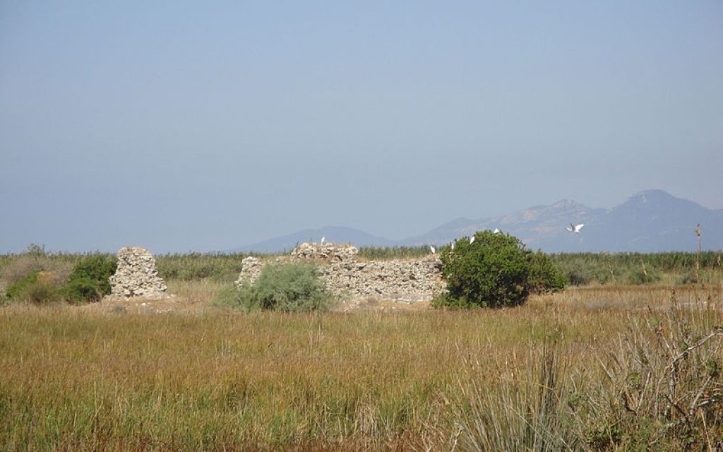 fidokastro