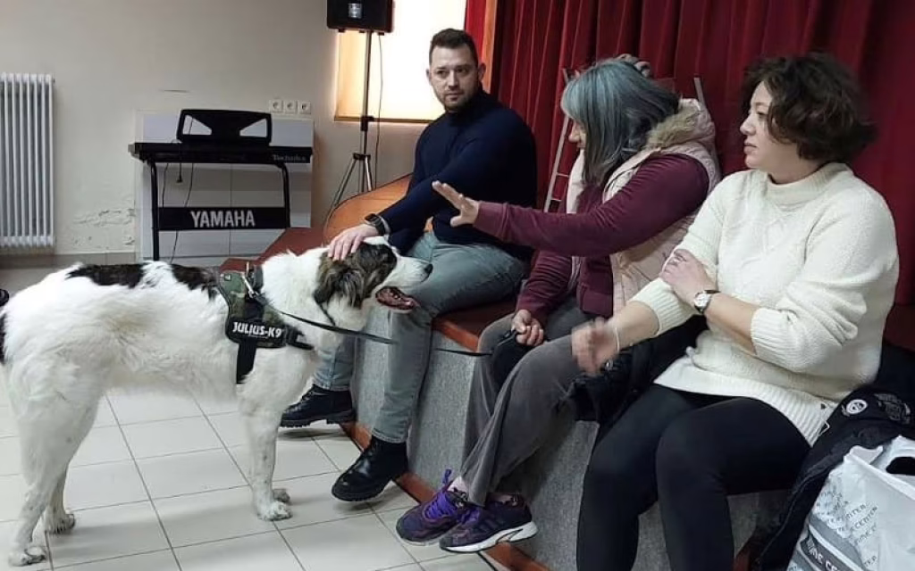 filozoia gimnasio