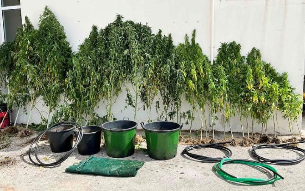 fiteia preveza