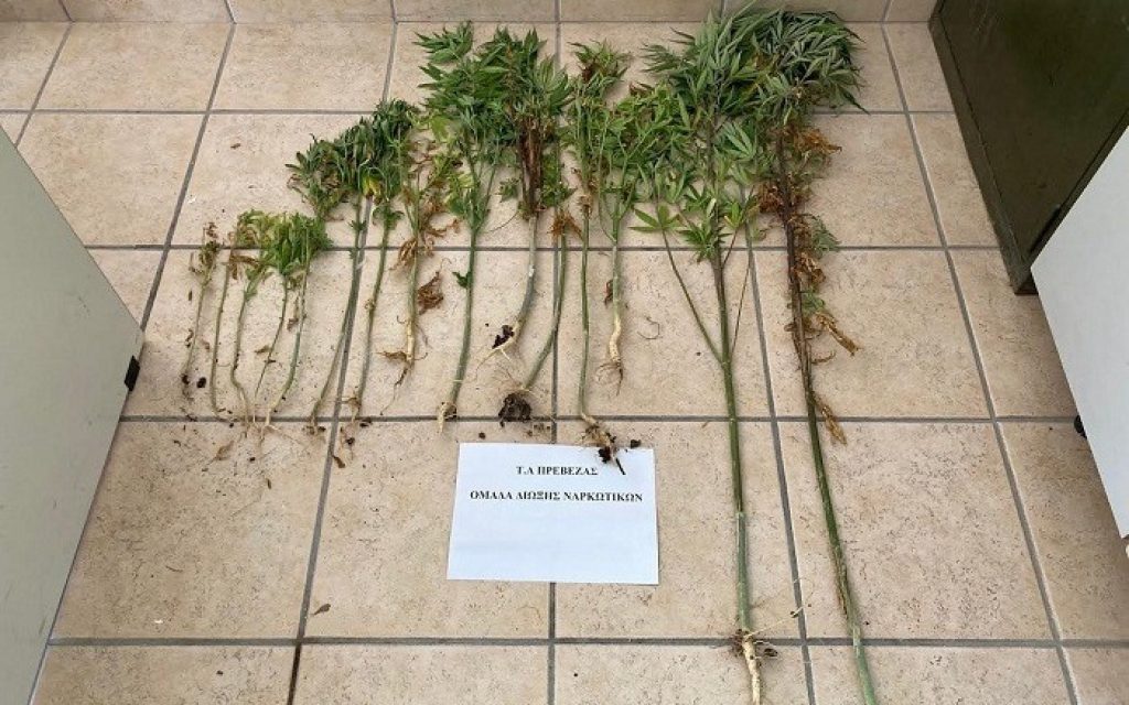 fiteia vouvopotamos