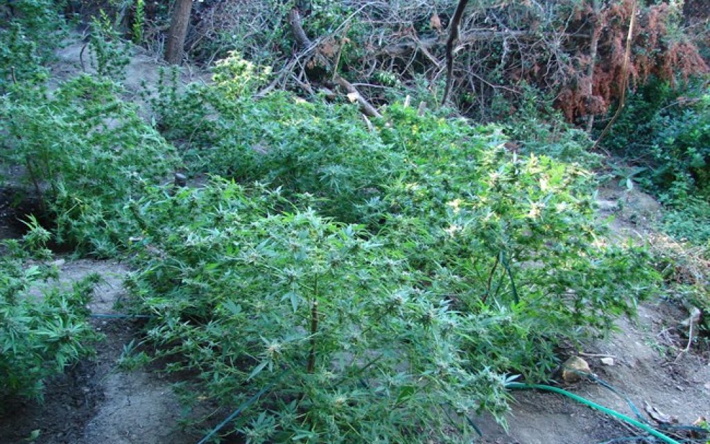 fiteia g2