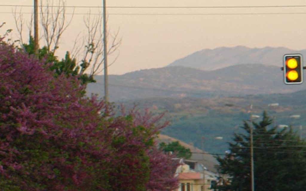 flamouria