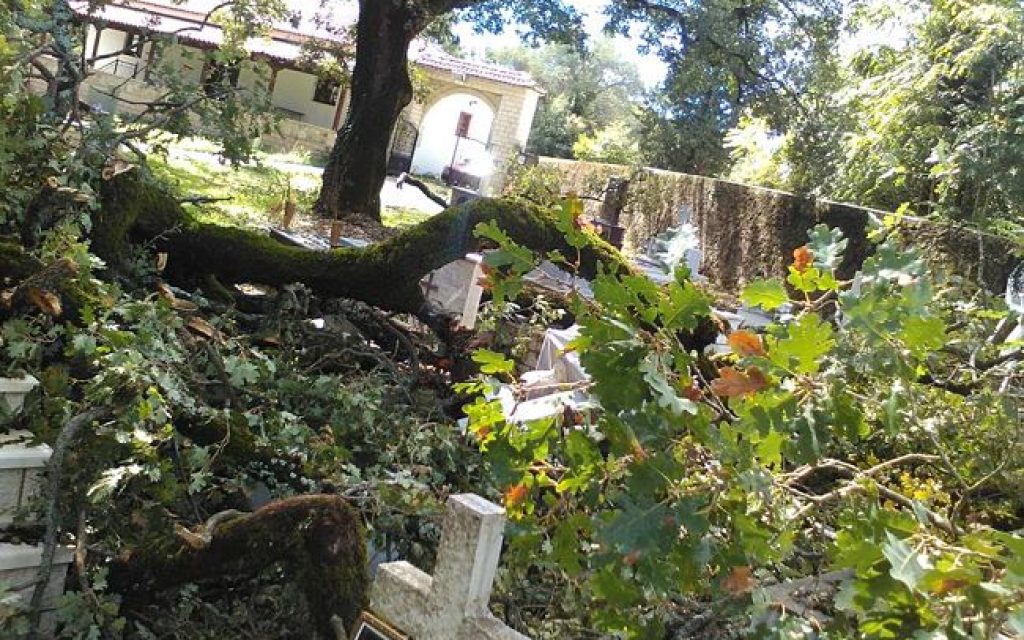 foiniki nekro1