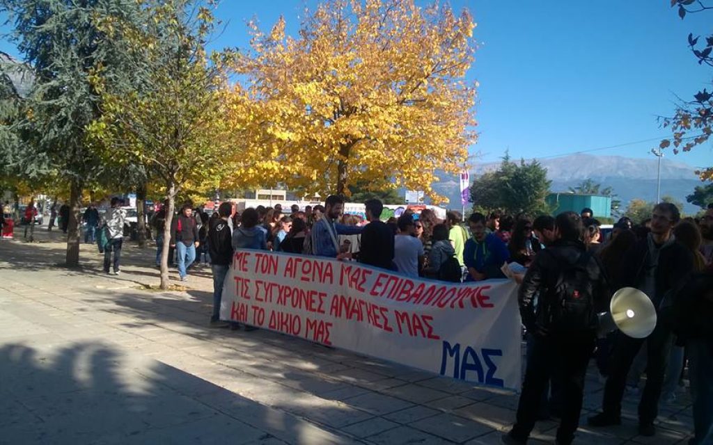 foitites stegi1