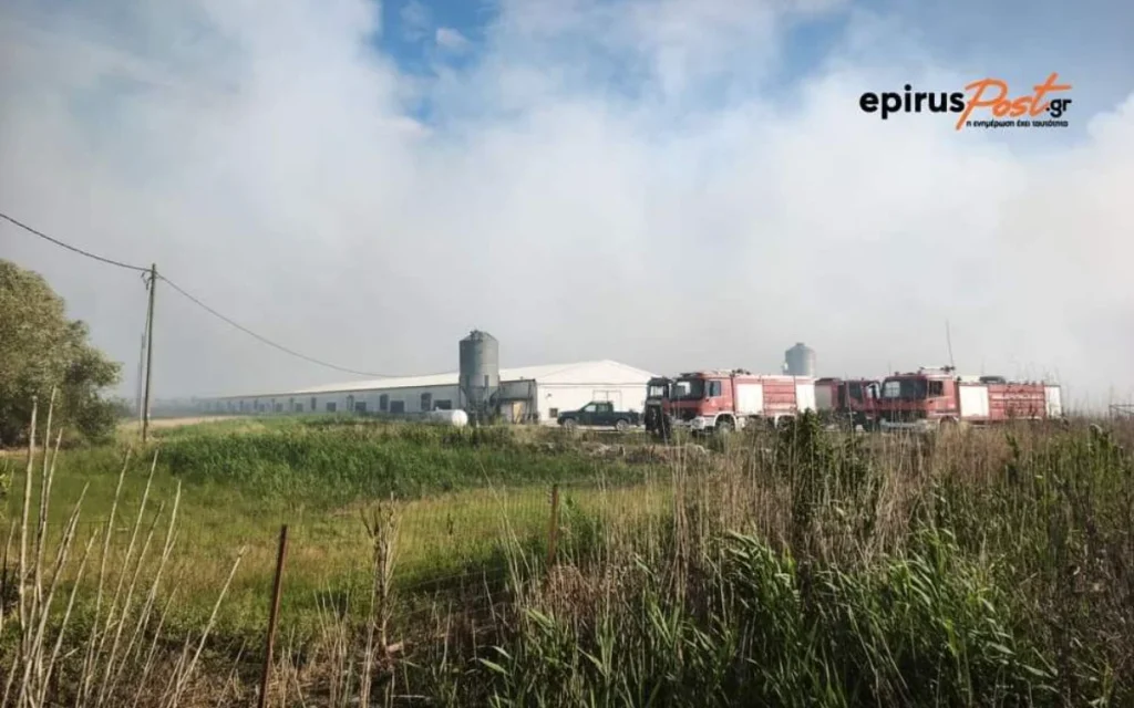 fotia agios spiridonas