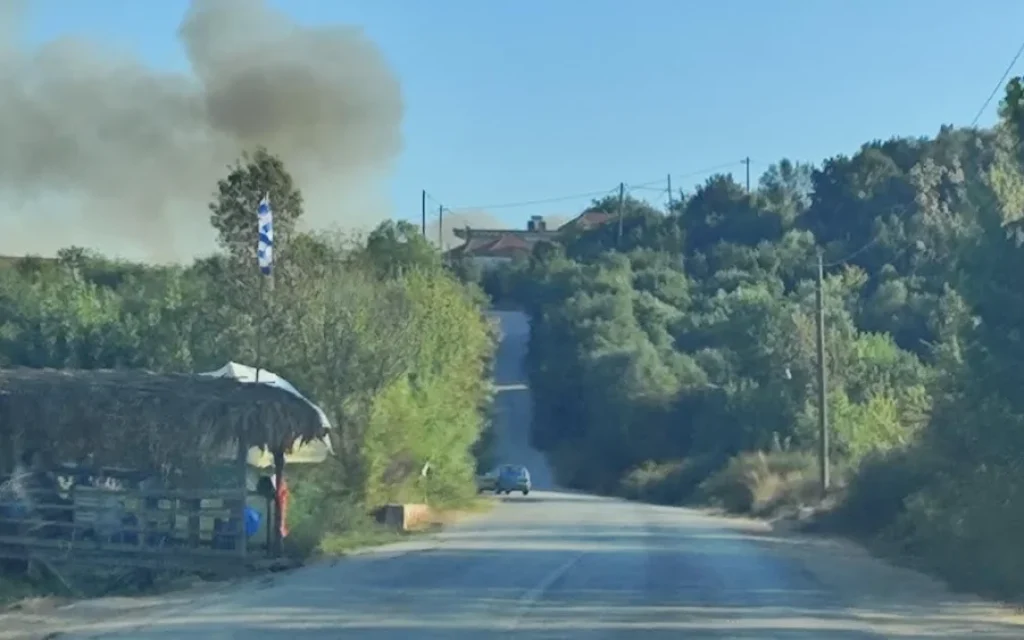 fotia fanari