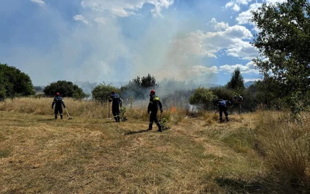 fotia katsikas