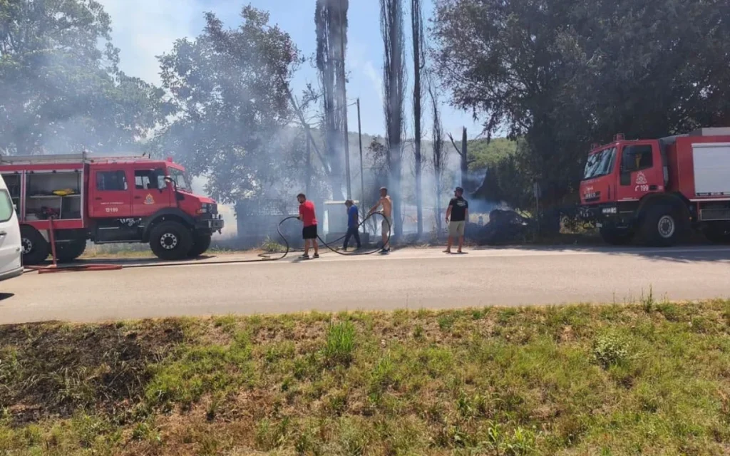 fotia piros vala