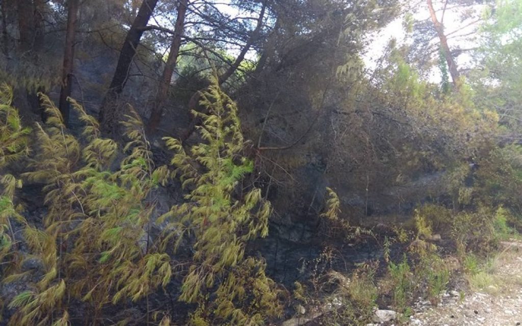 fotia riza1