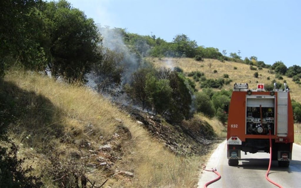 fotia stauraki