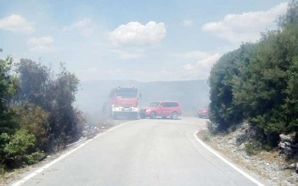 fotia terovo