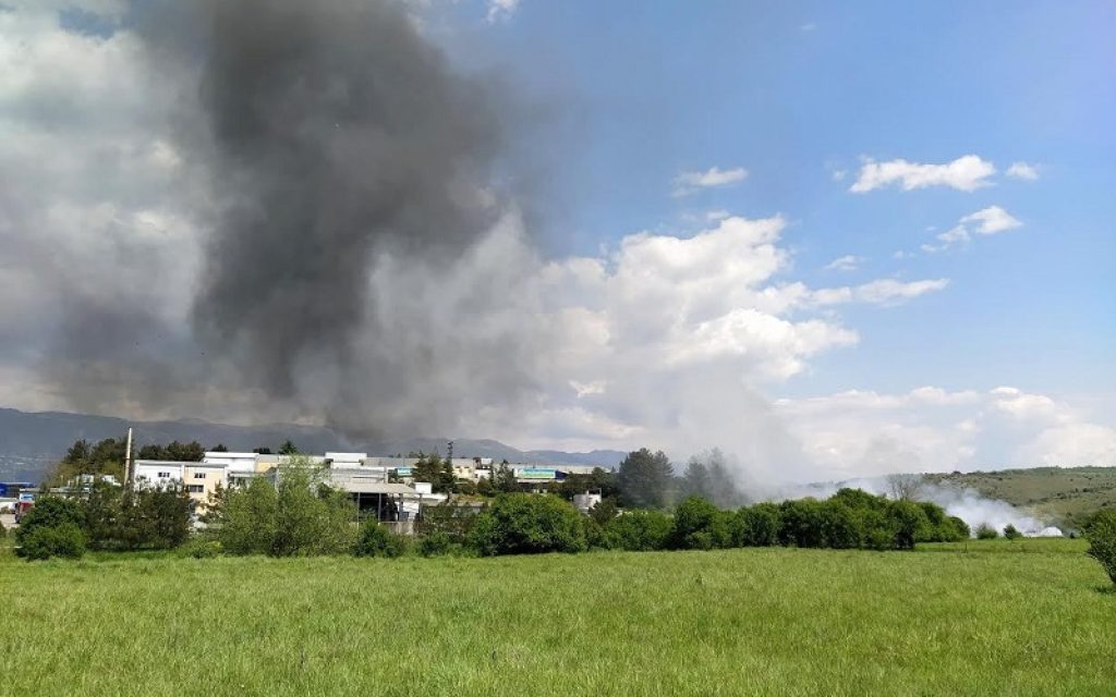 fotia ptinotrofikos1