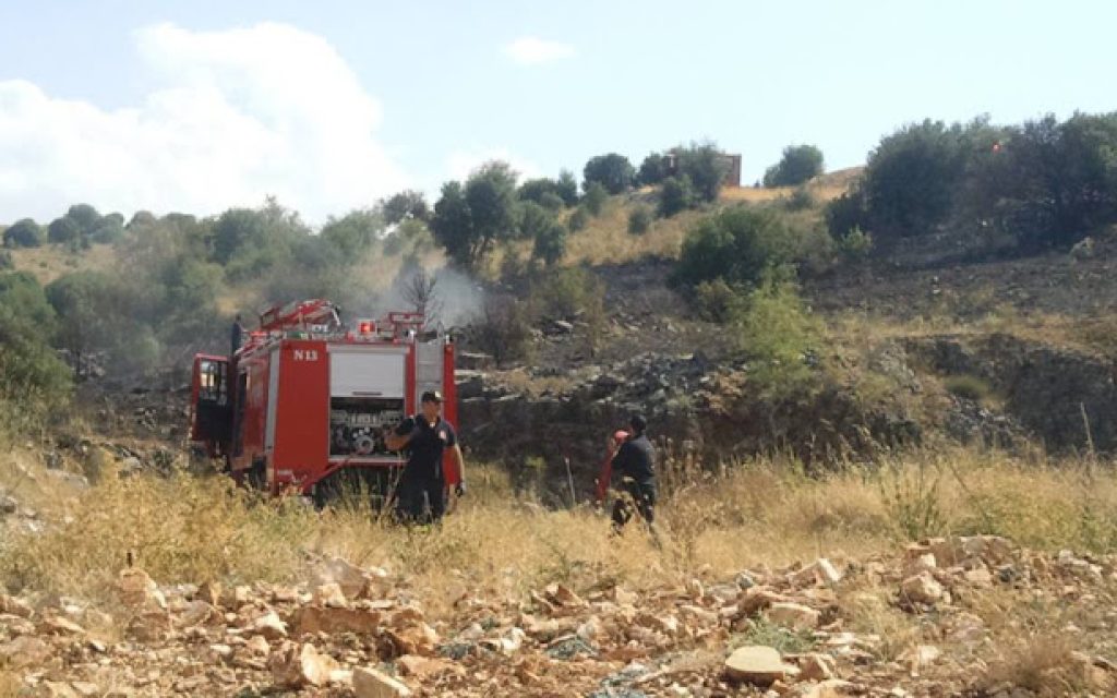fotia stauraki
