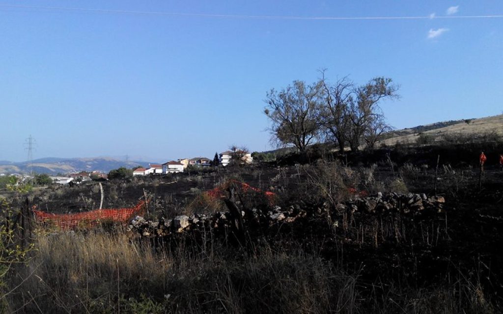 fotia stauraki1
