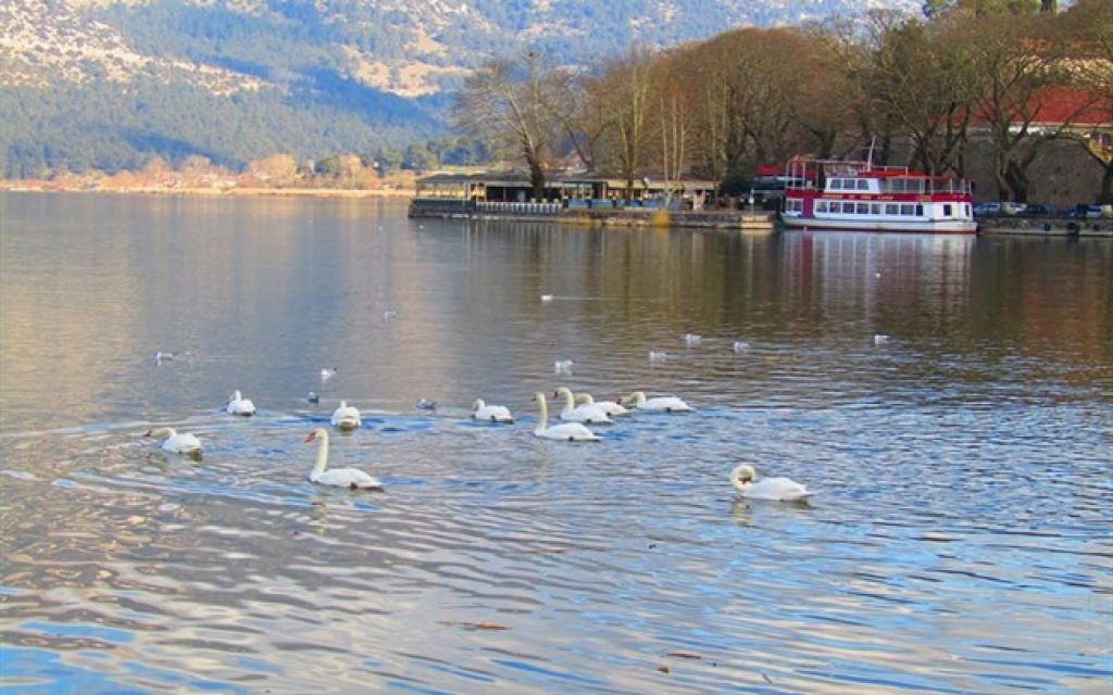 ftinoporo ioannina