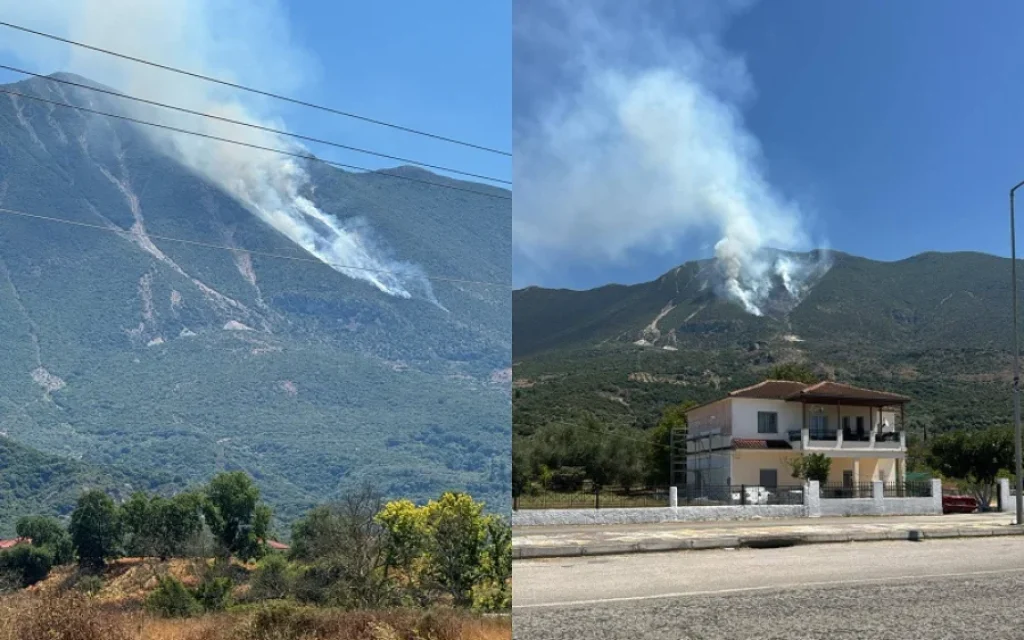 gardiki fotia
