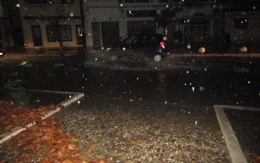 gariva1