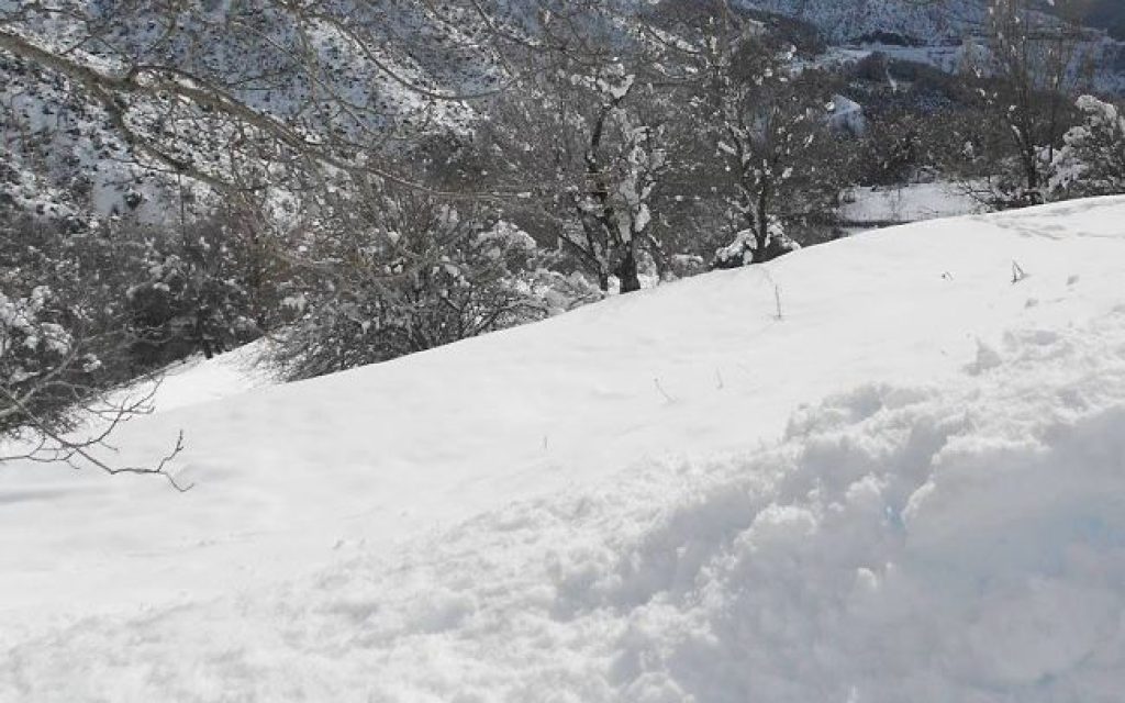 ge xioni1