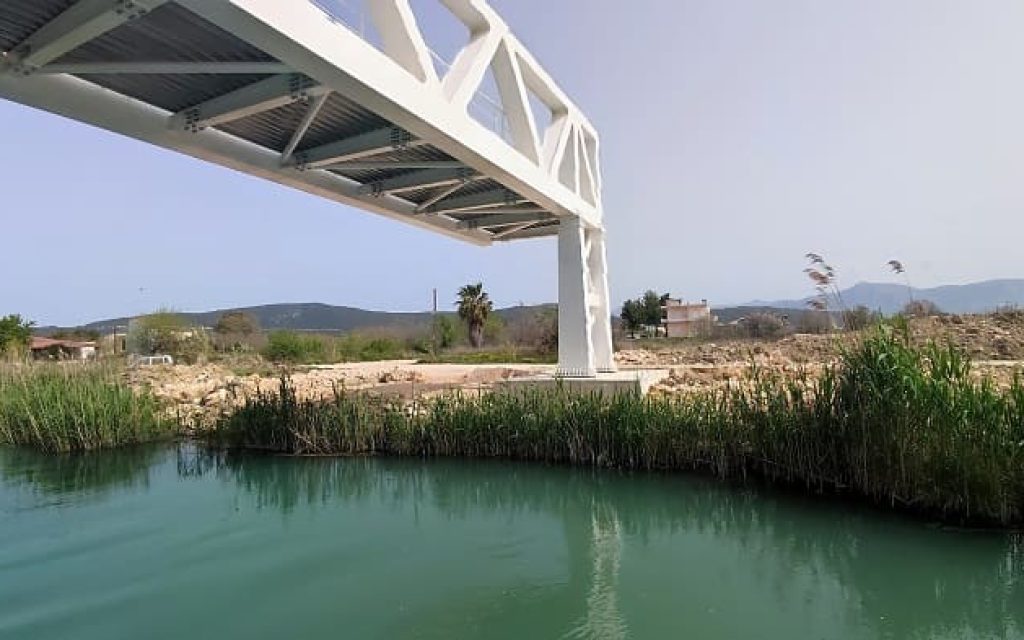 gefira ammoudia