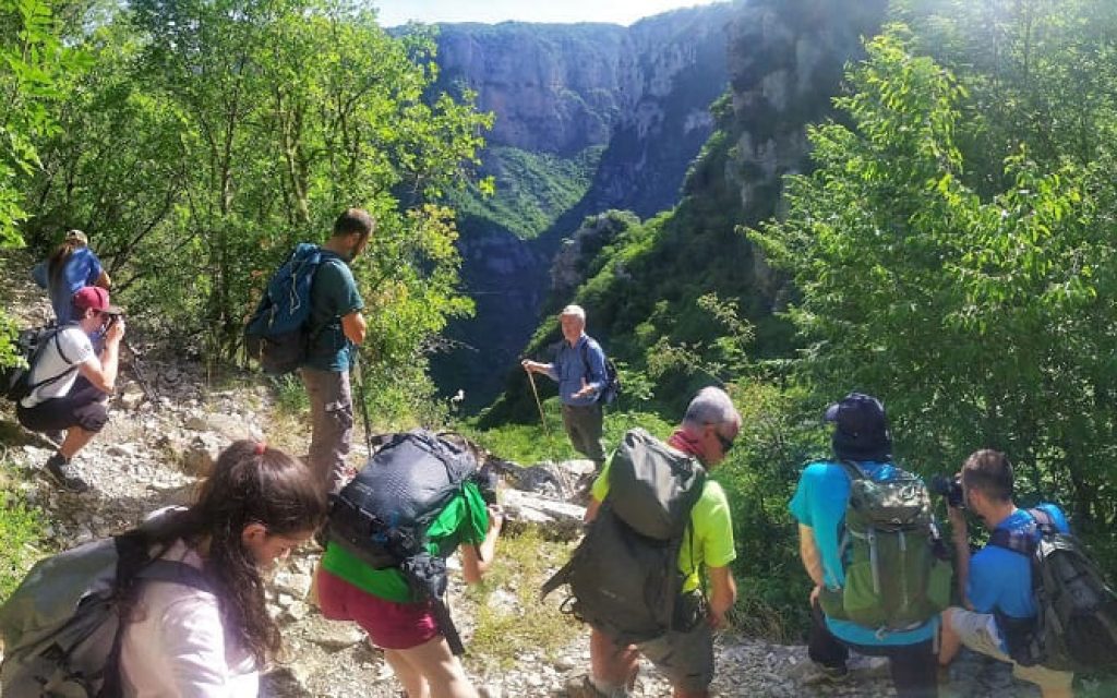 geologia pediou
