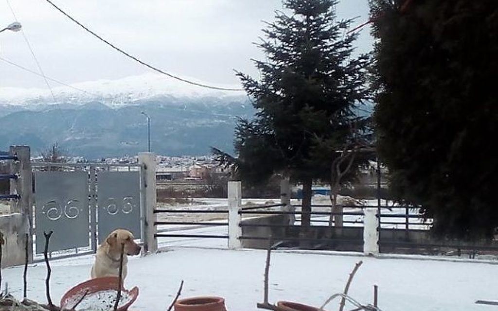gianxioni17