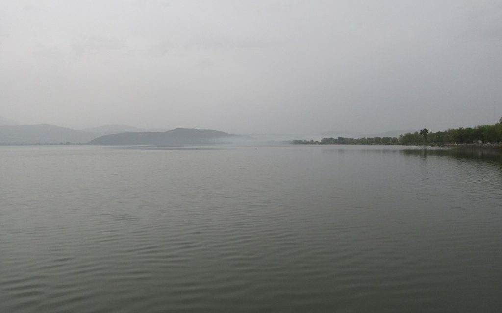 giiannena afrikaniki skoni2