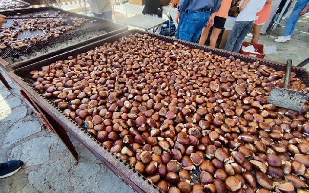 giorti kastanou1