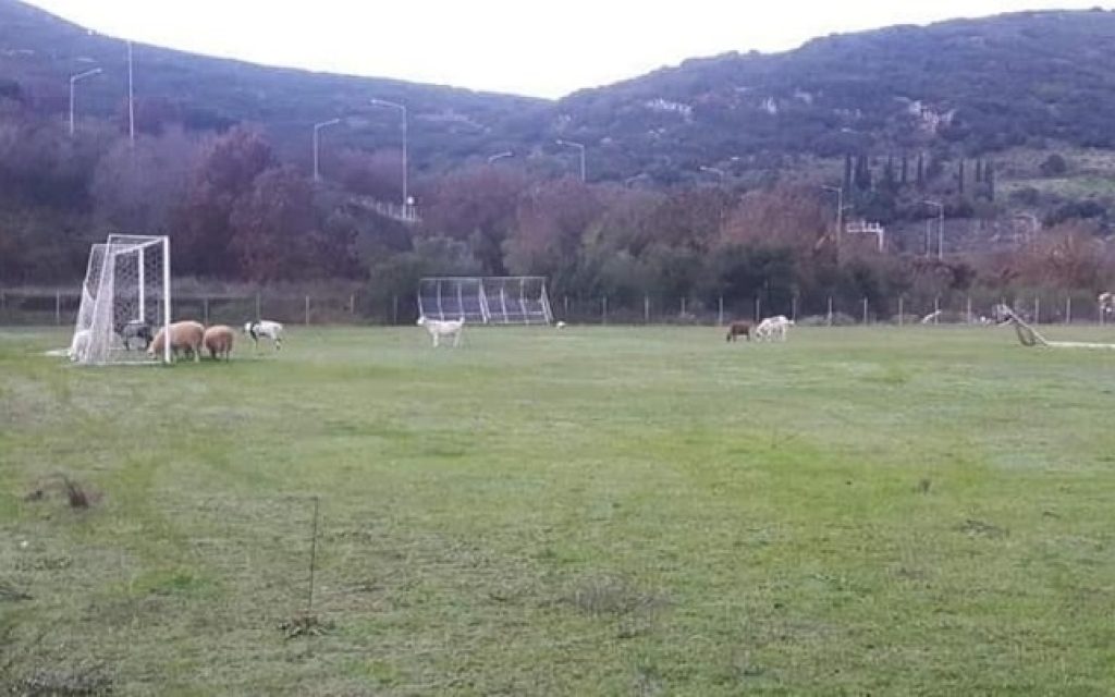 gipedo provata