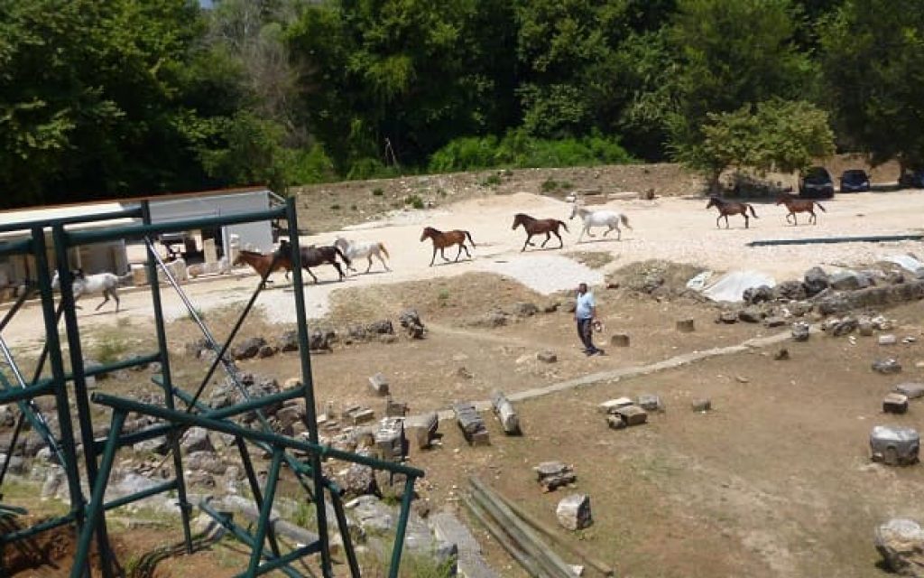 gitana aloga