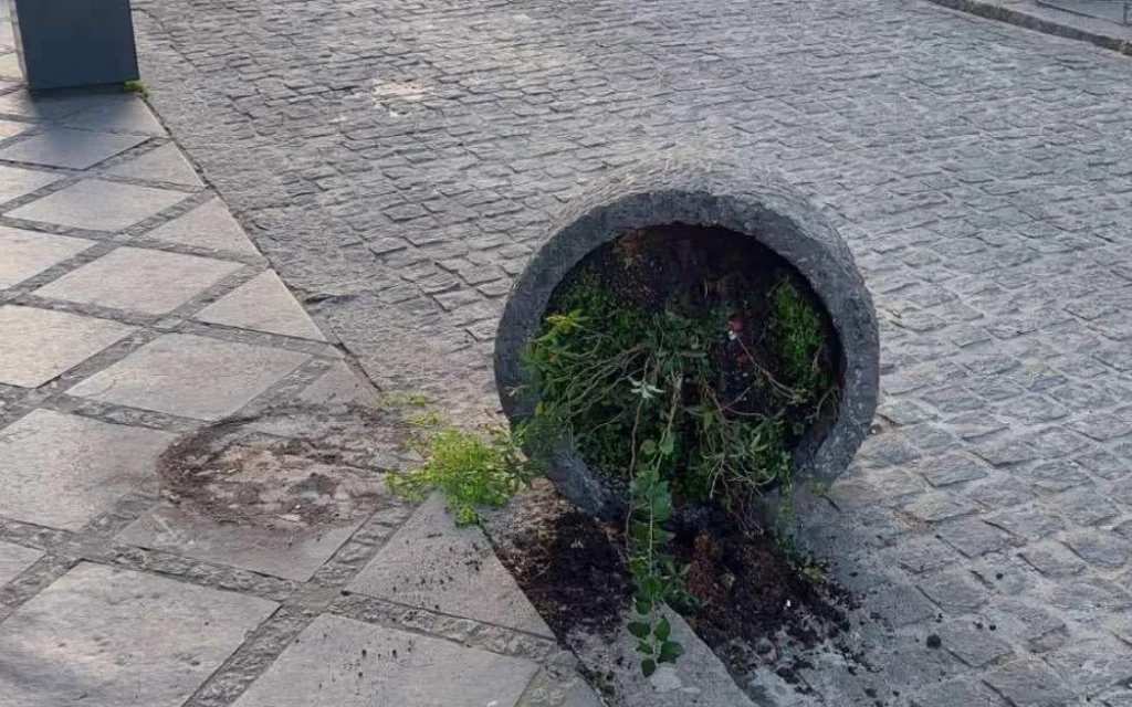 glastra aneksartisias