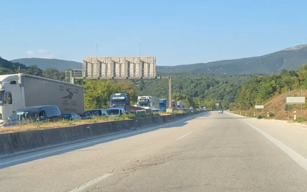 gnatia kinisi