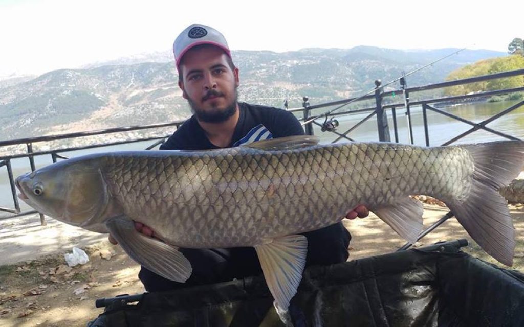 grevena psari