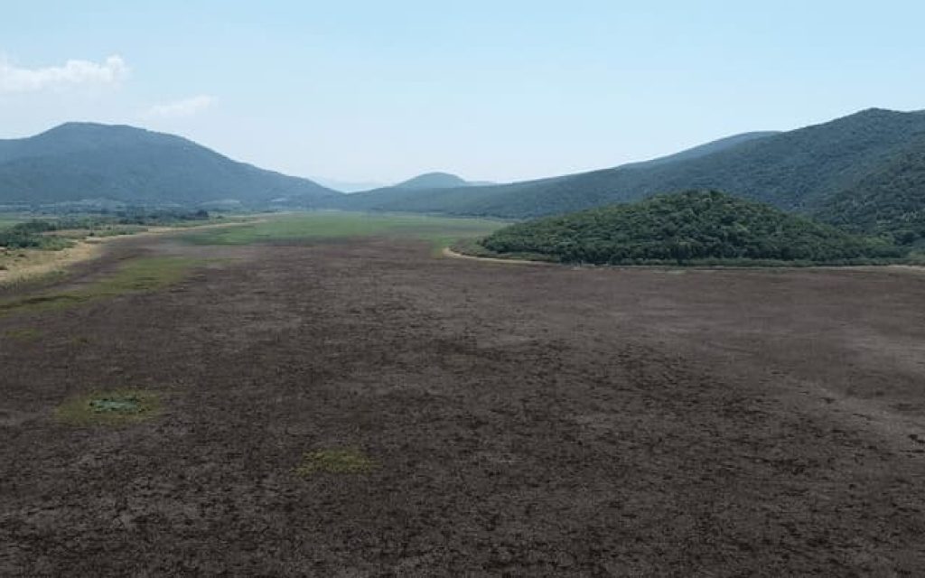 kalodiki 1