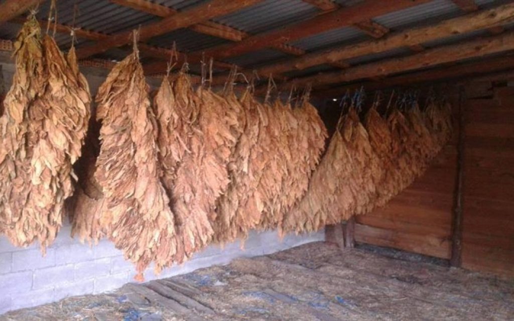 kapnos l2