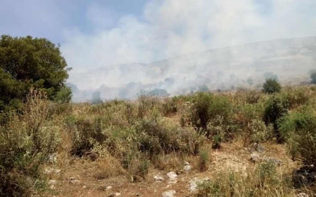 kastritsa fotia
