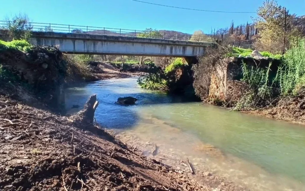 katarismoi louros