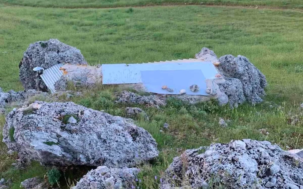 kataskinoseis nemertsika