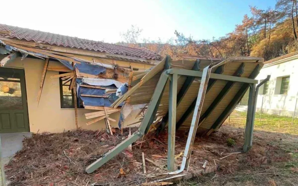 kdapo mea ziros