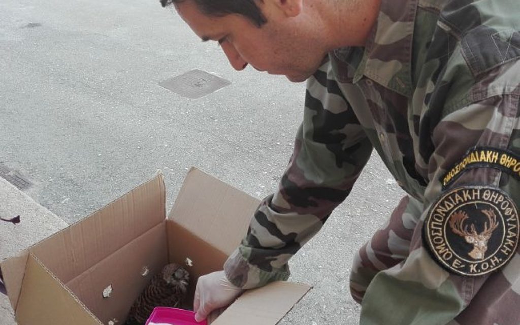 kirkinezi tr