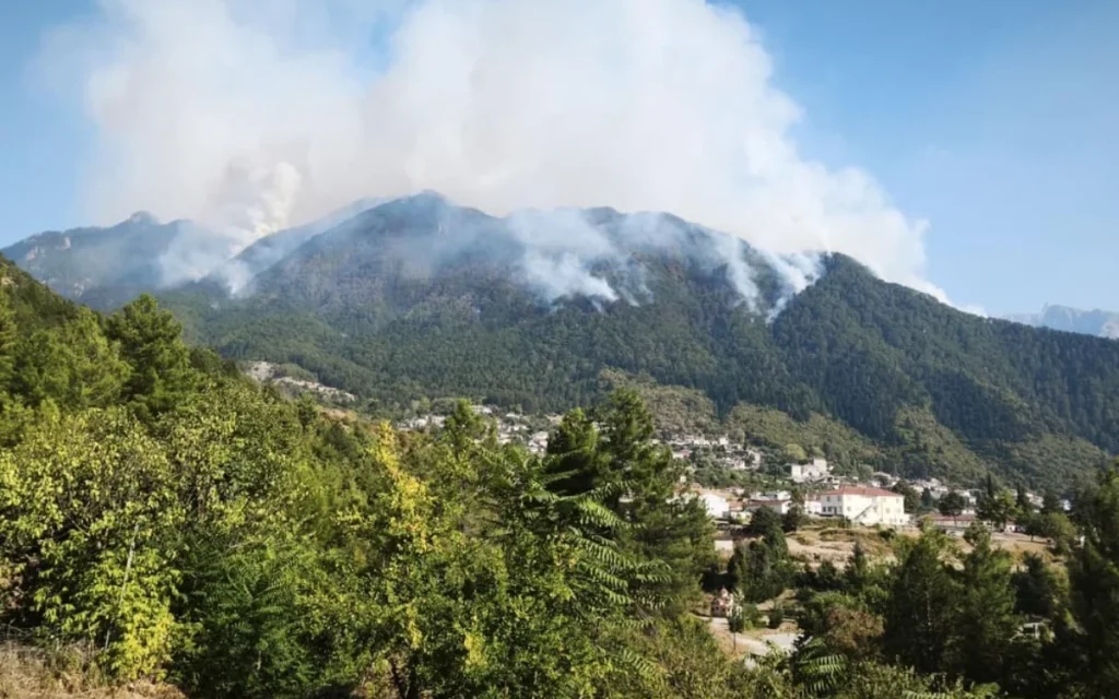 konitsa fotia