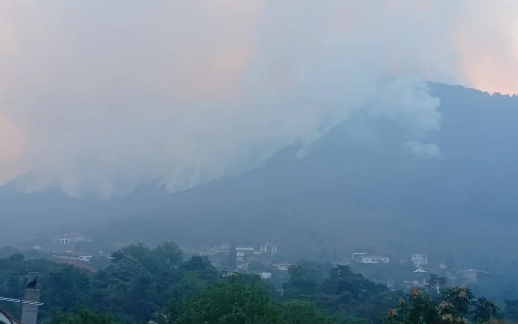 konitsa fotia