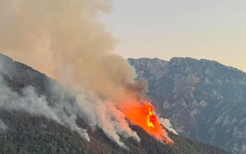 konitsa