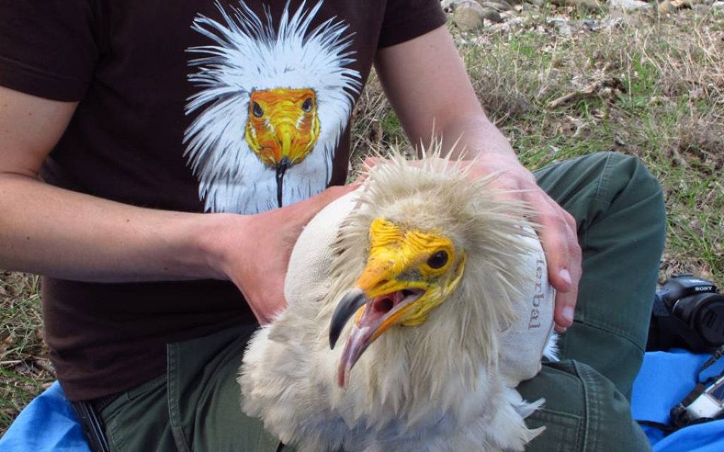 koukalogo
