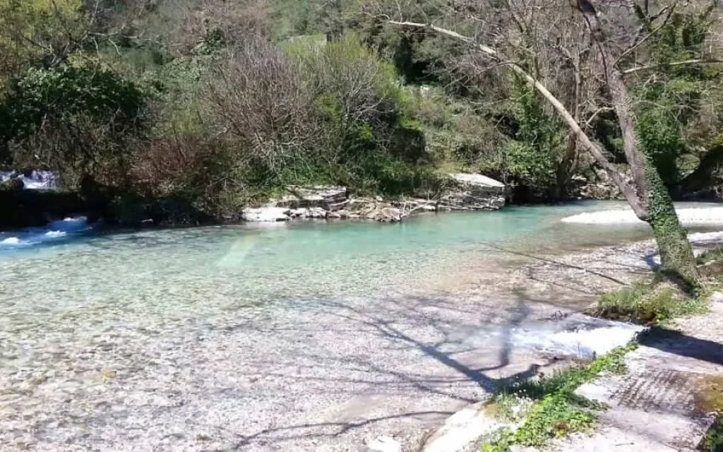 lagkavitsa ()